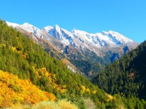 Snow-capped mountain peaks rise above vibrant autumn forests in Aba, Sichuan, China, under a clear blue sky.