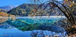Crystal-clear turquoise lake with submerged tree trunks in Jiuzhaigou Valley, Sichuan, China.