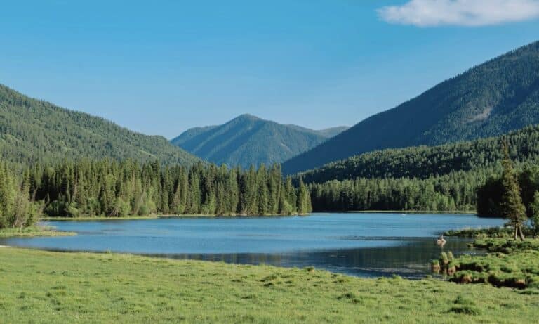 Tranquil Yazhu Lake surrounded by lush forests and snow-capped mountains in Kanas Nature Reserve, Altay.