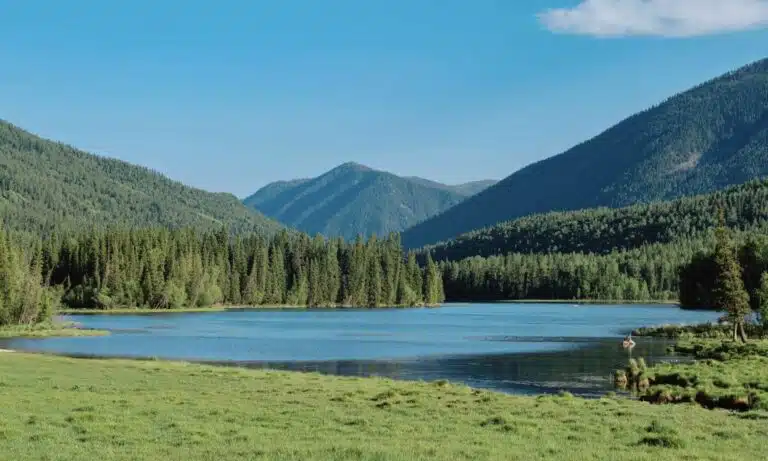 Tranquil Yazhu Lake surrounded by lush forests and snow-capped mountains in Kanas Nature Reserve, Altay.
