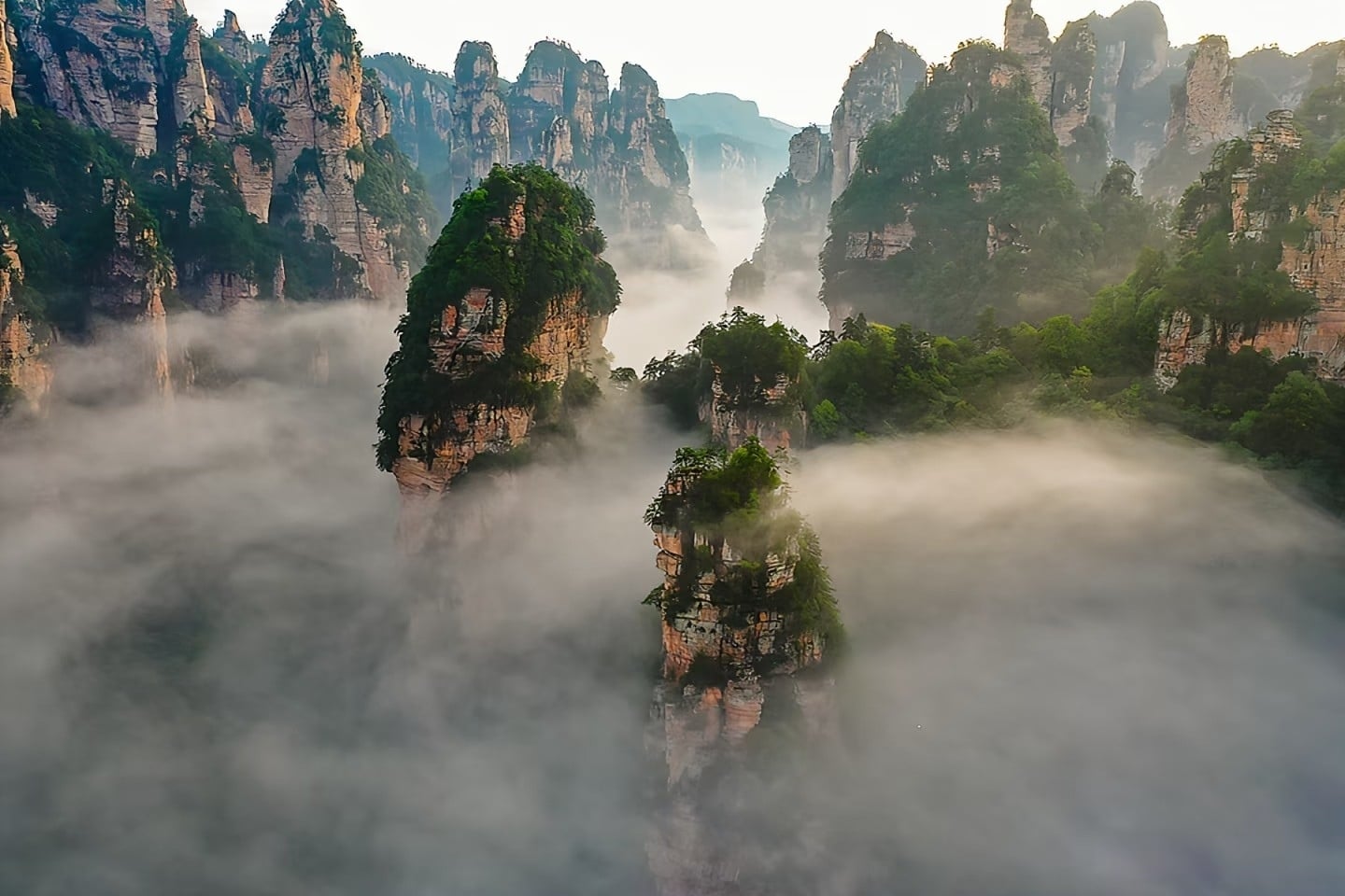 Misty quartz sandstone pillars rise from a sea of clouds in Zhangjiajie National Forest Park, Hunan, China.